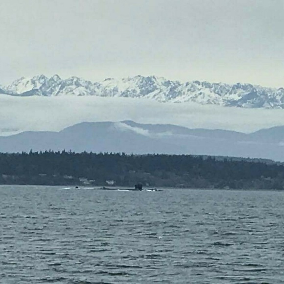 Meet your Posher, Rachel - Picture 3 of 8